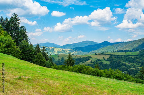 meadow covered with grass on a background of mountains and forests. © robertuzhbt89