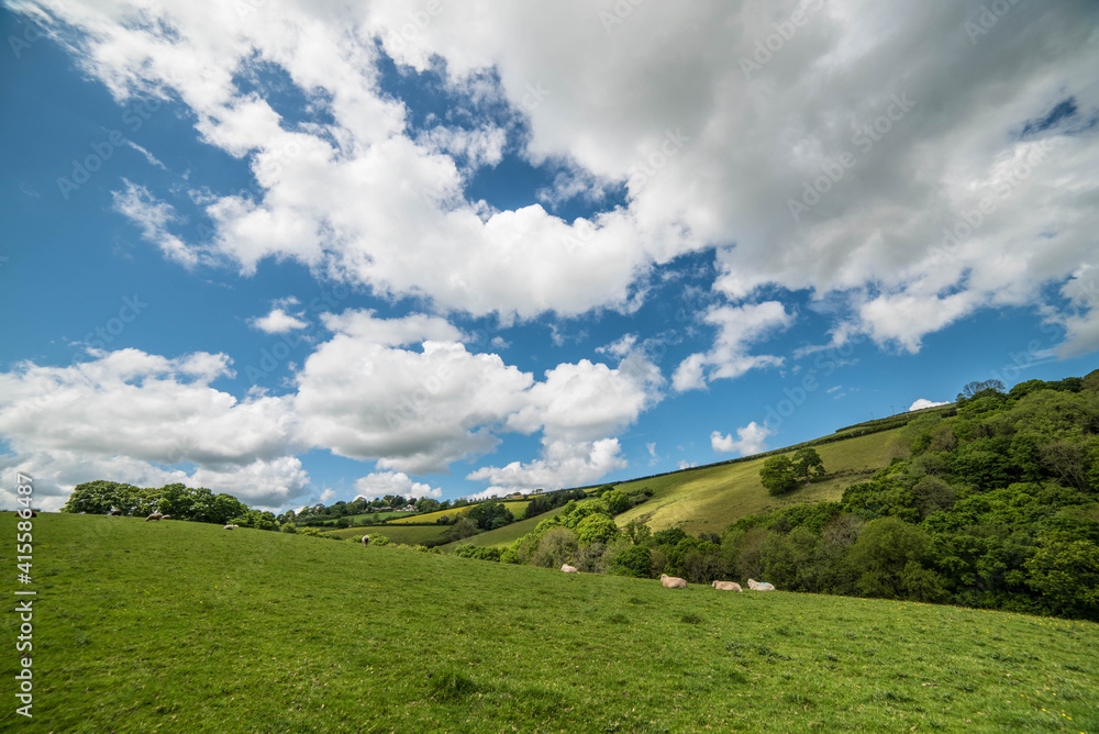 Fototapeta premium British Devon countryside in summer 