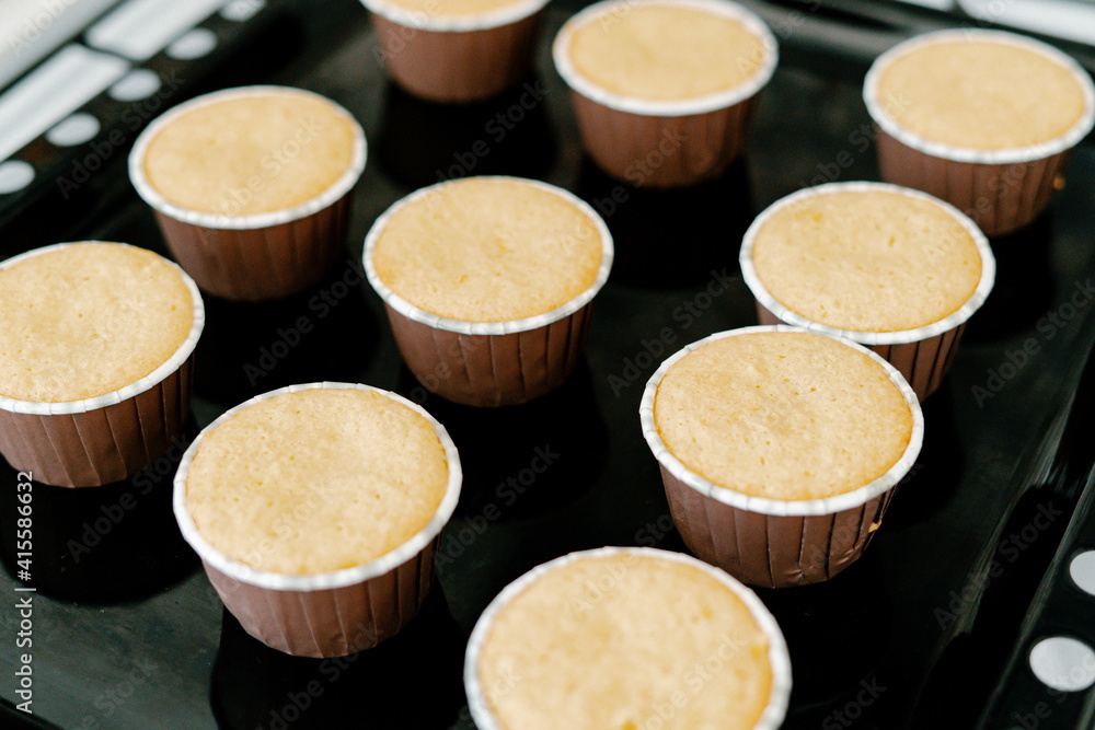 freshly baked cupcakes on a black protvin background.Food for breakfast. Freshly baked cupcakes for dessert. Foodies and cuisine. freshly baked cupcakes on a black protvin background.Food for breakfast. Freshly baked cupcakes for dessert. Foodies and cuisine.