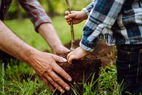 Planting a family tree. Hands of grandfather and little boy planting young tree in the garden. Environmental awareness. Spring concept, save nature and care. 