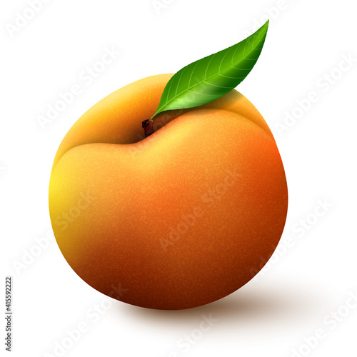 Ripe whole peach fruit with leaf isolated on white background. Realistic vector illustration.