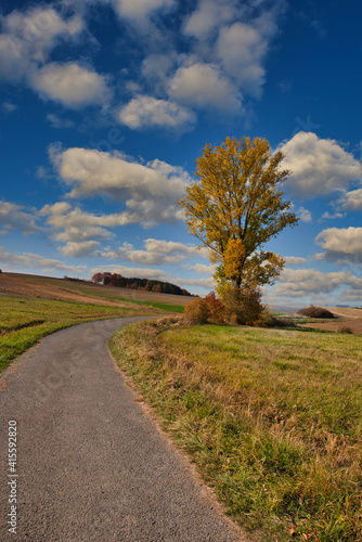 Bewölkte Landschaft im Herbst mit Feldweg