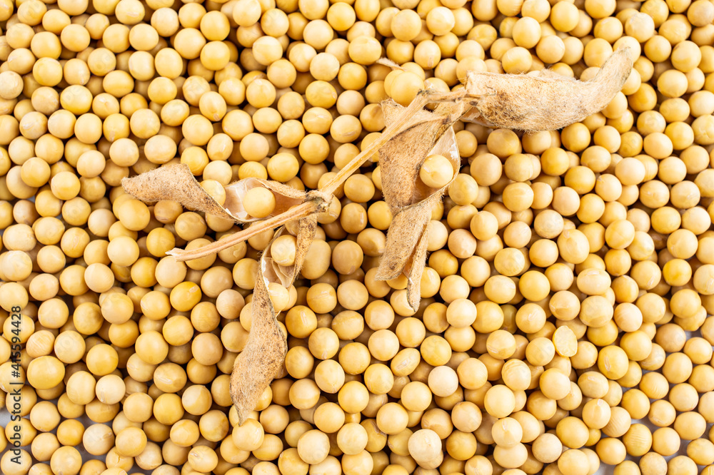 Dried soybeans on white background Dried soybeans on white background