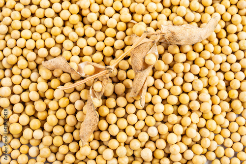 Dried soybeans on white background