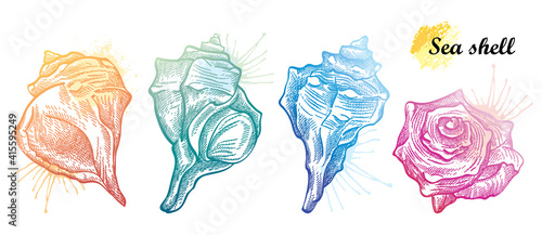 Hand drawn set of seashell sketches in pastel colored isolated on white background.