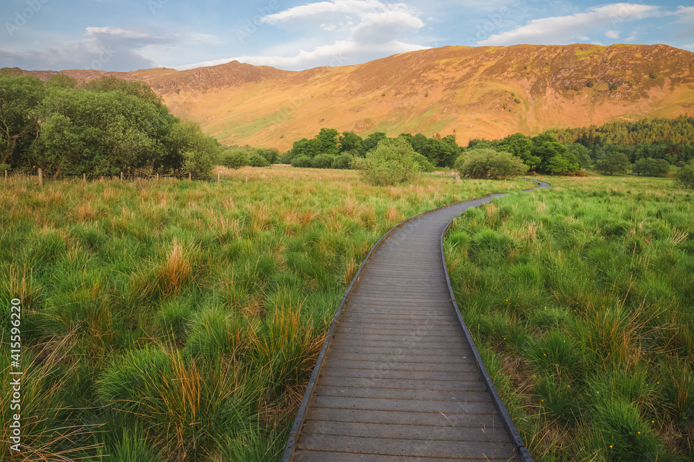 An empty boardwalk at Derwentwater grassland landscape early morning near Keswick in the Lake District, Cumbria, England.