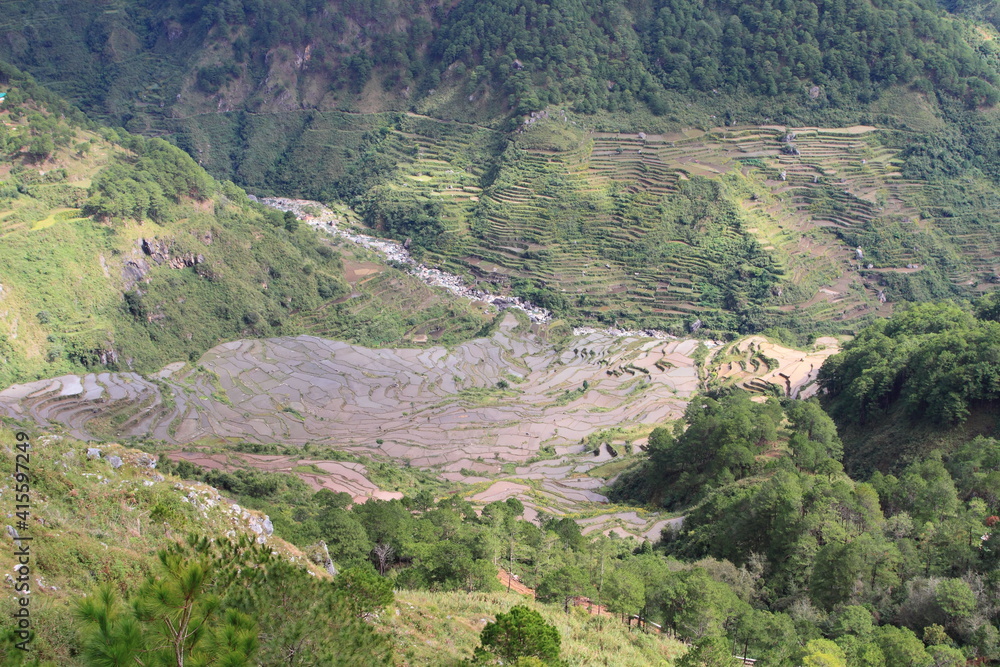 Philippines Luson Rice field on terraces Stock Photo | Adobe Stock
