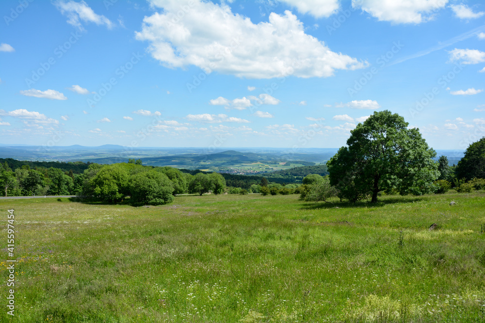 Trees  and a green meadow on a mountain in the high Rhön with a view of the valley