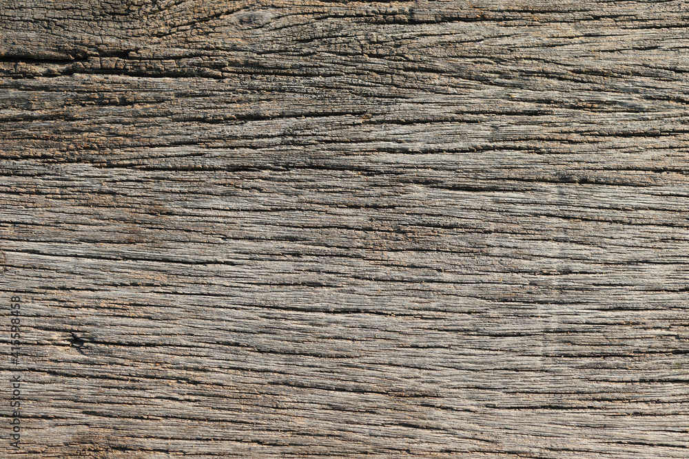 Fototapeta premium Wooden flooring backgrounds and textures for wallpaper design.