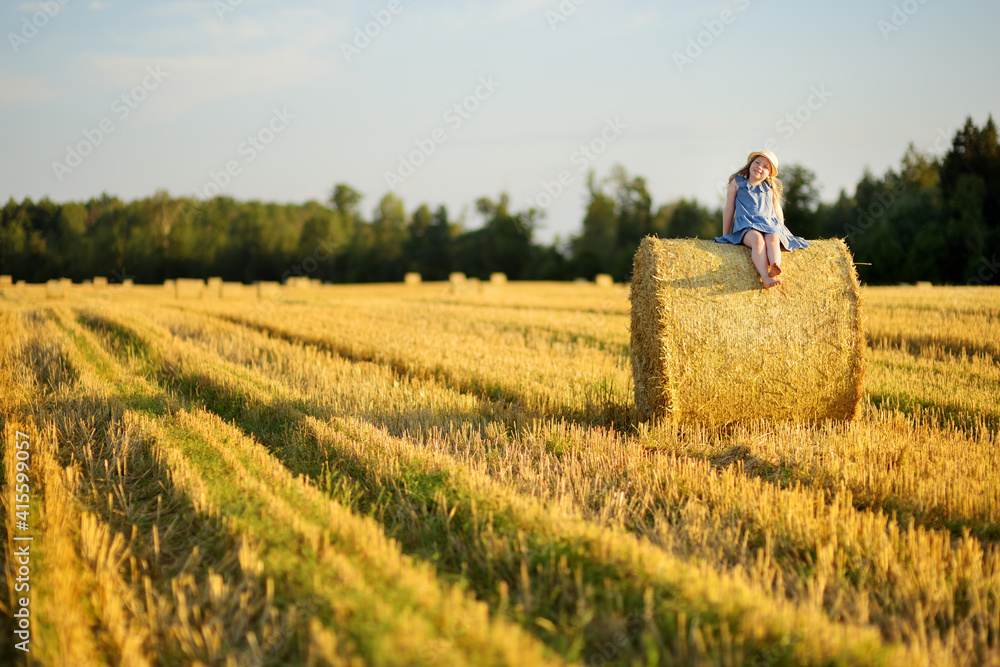 Adorable young girl having fun in a wheat field on a summer day. Child playing at hay bale field during harvest time. Kid enjoying warm sunset outdoors.