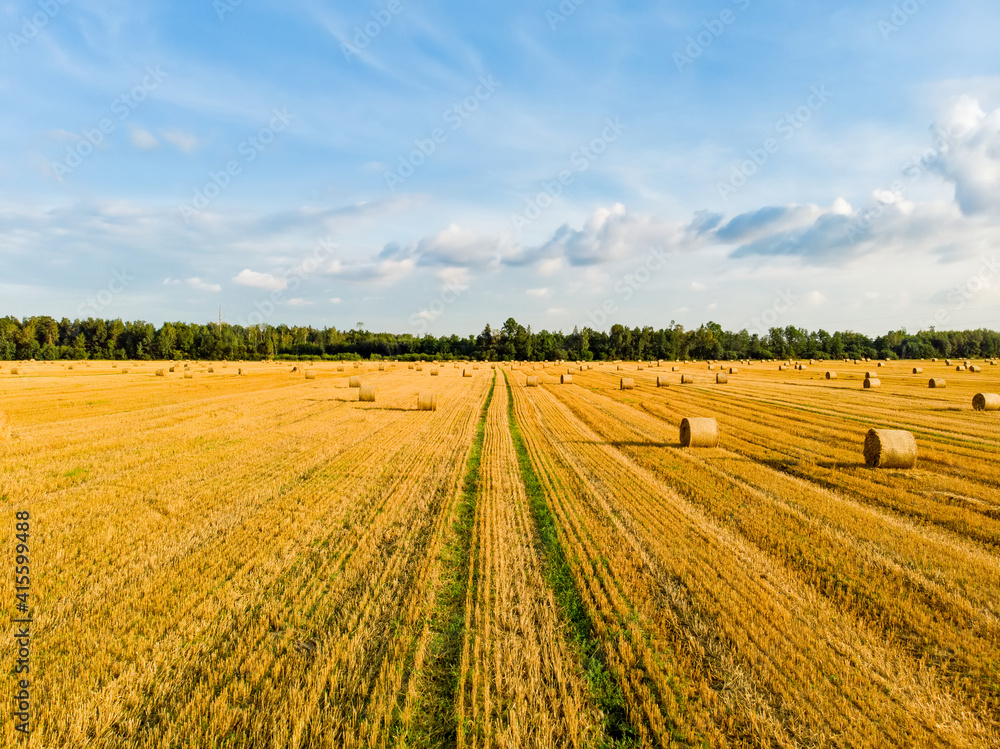 Aerial view of agricultural parcels of different crops. Hay bale fields and farmlands of Lithuania. Aerial view of agricultural parcels of different crops. Hay bale fields and farmlands of Lithuania.