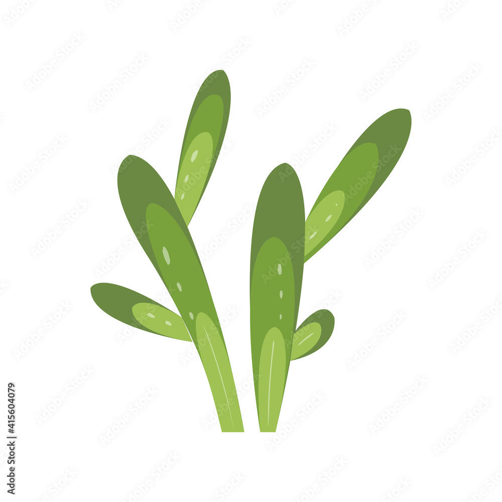 Cartoon cactus. set of bright cacti. Colored, cacti design isolated on white background Cartoon cactus. set of bright cacti. Colored, cacti design isolated on white background