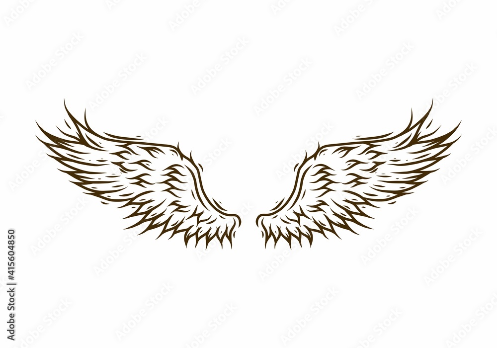 Fototapeta premium Line art drawing of brown wings
