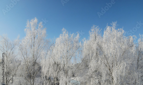 Aerial view of frozen trees on a background of blue sky. All trees are covered with ice and hoarfrost