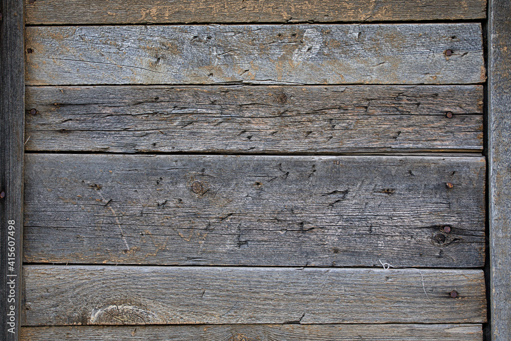 Fototapeta premium A wooden wall made of planks with peeling green paint. Background