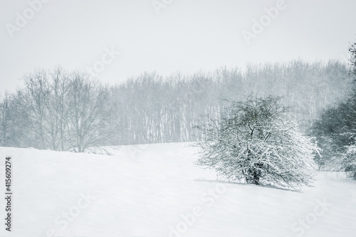 Schneelandschaft © Chrisi Stark