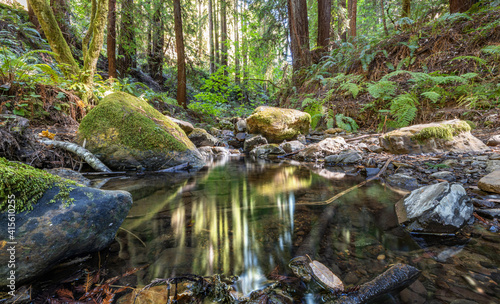 Beautiful landscape, bed of a mountain river with reflection and a stream of clear water in the shade of trees in a California forest