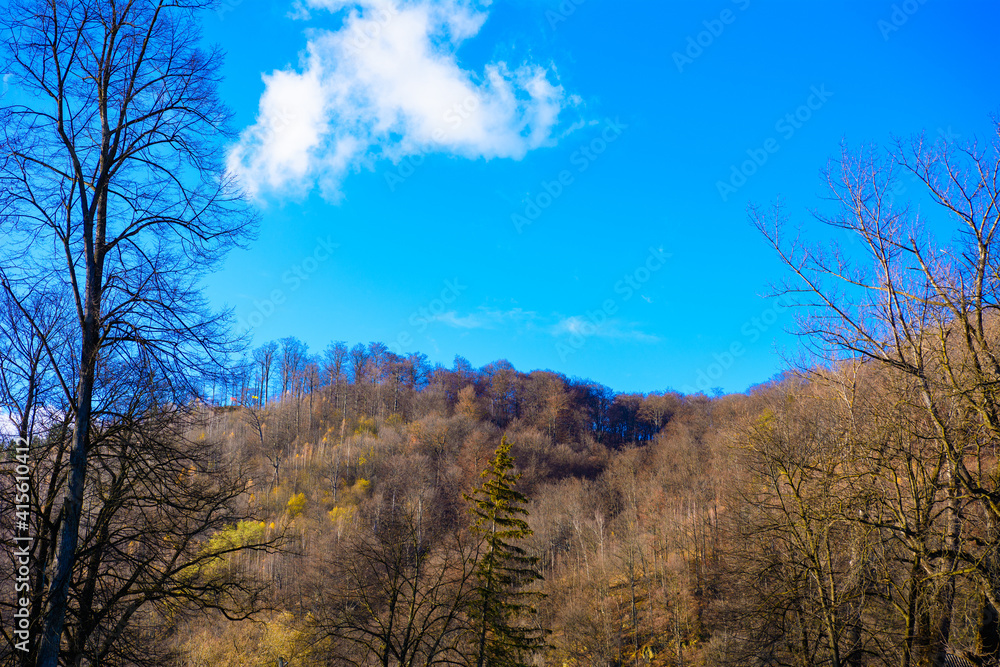 Autumn forest, deciduous autumn forest, top view of nature and its beauty. Autumn forest, deciduous autumn forest, top view of nature and its beauty.