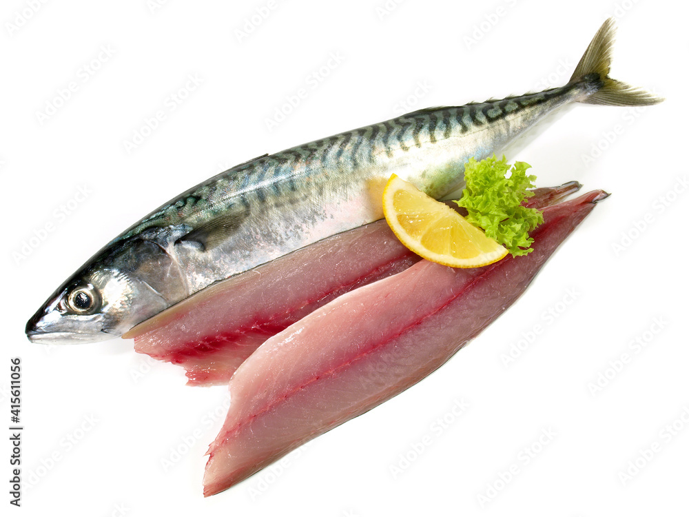 Whole Mackerel in with Fillets - Mackerel Fish raw on white Background Whole Mackerel in with Fillets - Mackerel Fish raw on white Background