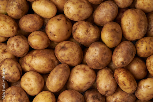 Whole organic potato background.