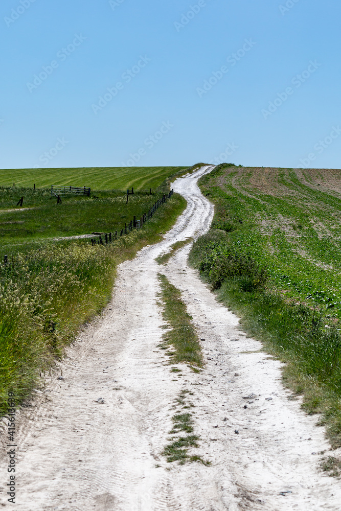 Looking along a chalk path in Sussex, with green fields surrounding and a blue sky overhead
