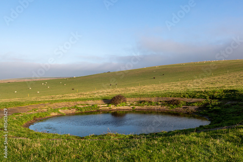 A Dew Pond in the Sussex Countryside