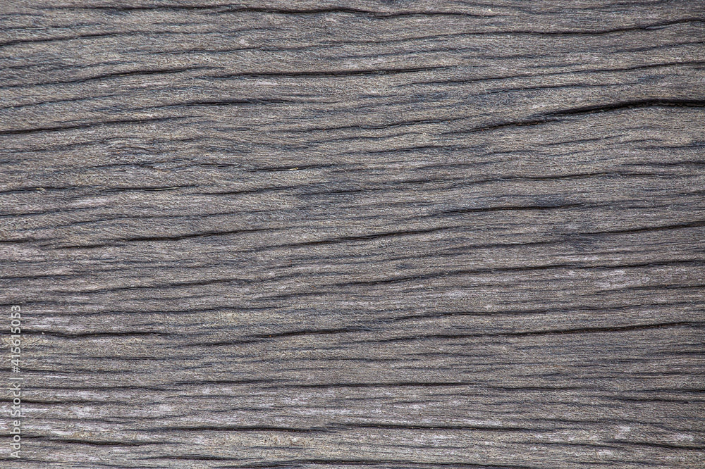 Old wood bark texture. Abstract art background. Old wood bark texture. Abstract art background.