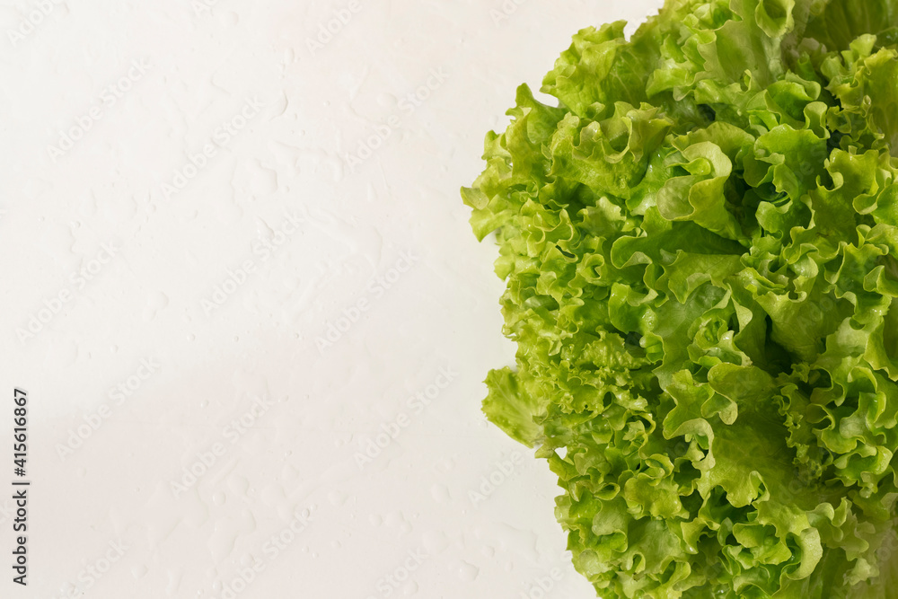 Lettuce leaves on white background with space for text, healthy vegetable food Lettuce leaves on white background with space for text, healthy vegetable food