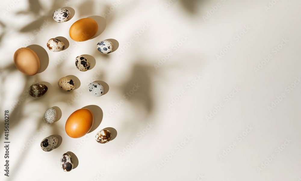 .Natural organic quail and chicken eggs on a trendy beige background photographed with hard lights and shadows in shape of leaves. Minimalistic frame, easter concept. Top view, Banner with copy space
