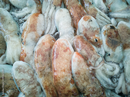 Cuttlefish in open seamarket photo