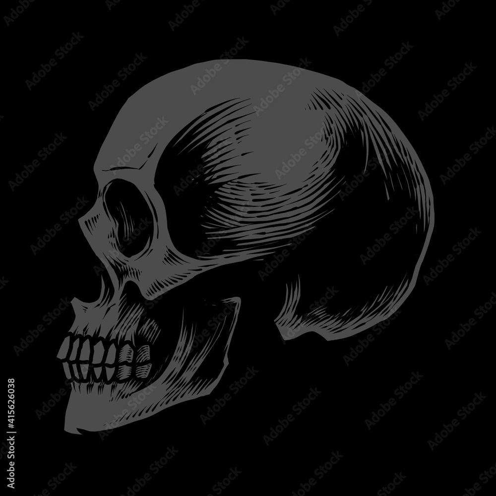 Naklejka premium Detailed hand drawing anatomic skull illustration
