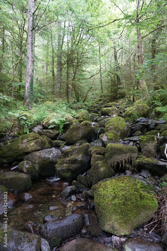 Creek Creek
