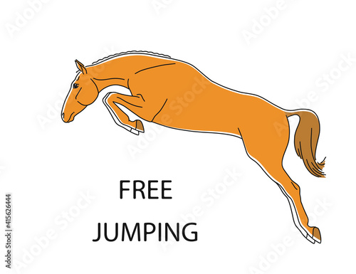 Sport horse jumping of style
