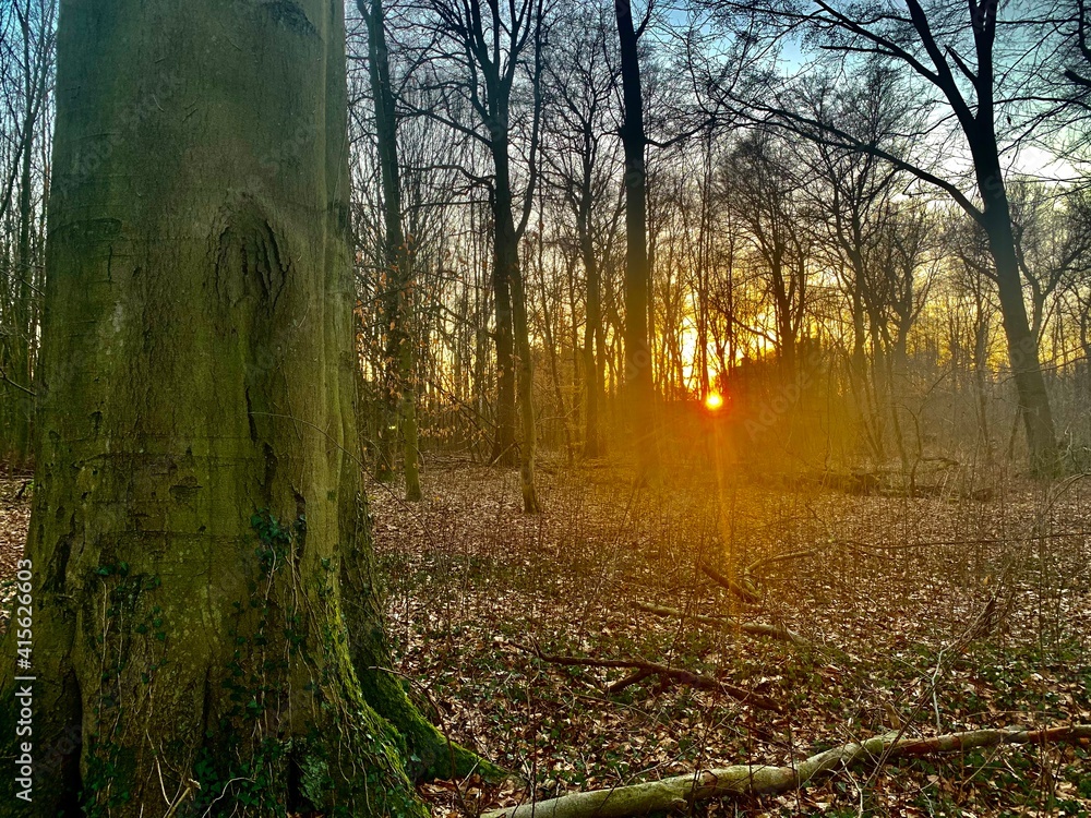 Naklejka premium Haard