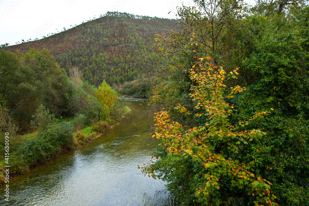 Zona salmonera, Río Bedón, Asturias Zona salmonera, Río Bedón, Asturias
