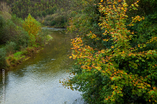 Zona salmonera, Río Bedón, Asturias