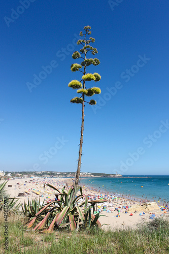 View of Praia da Rocha beach, Portimão, Algarve, Portugal