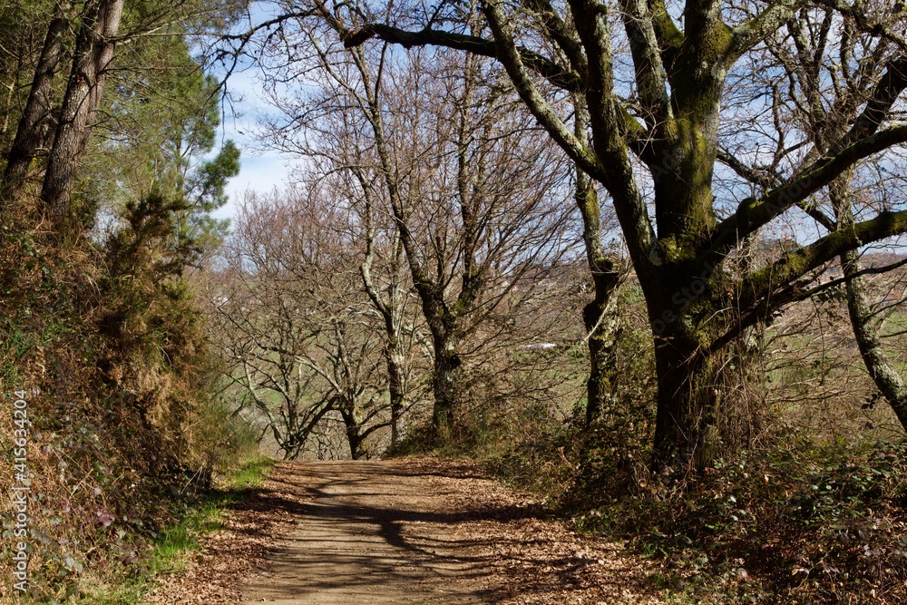 Paseo por el bosque en Primavera
al aire libre Paseo por el bosque en Primavera
al aire libre