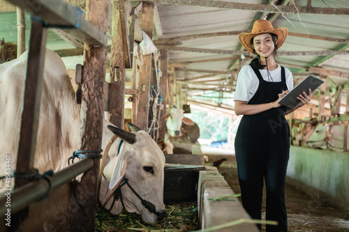 smiling Asian woman wearing a cowboy hat looks at the camera while carrying a pad in the background of the cow shed © Odua Images