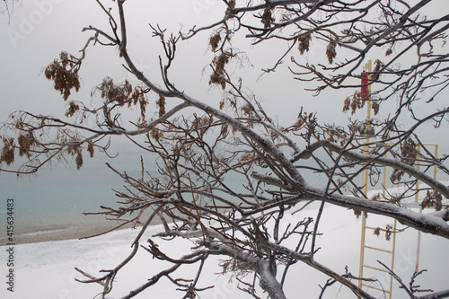 Branches of trees in a snowstorm on the background of the winter sea. 