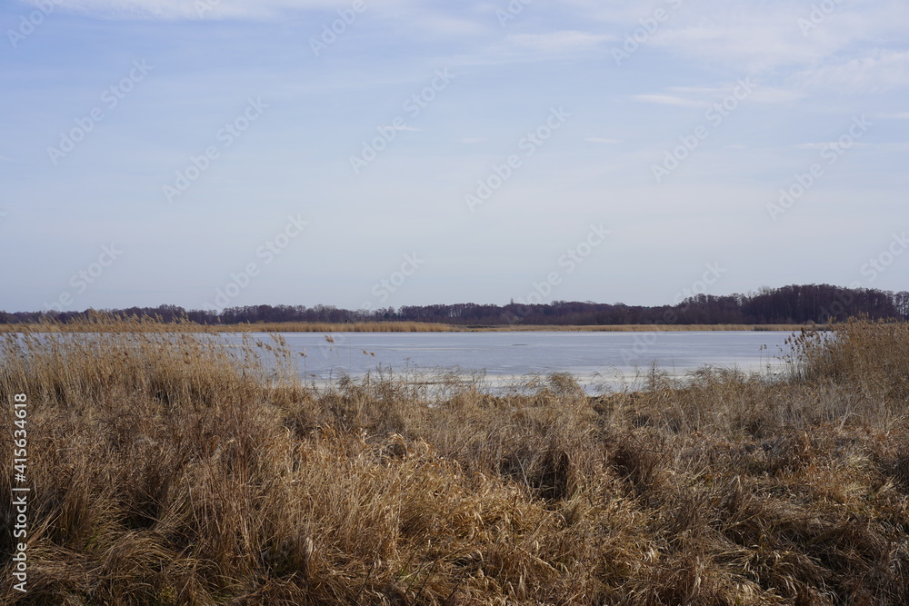 Sonnige winterliche Seelandschaft mit Schilf, Wasser, Eis und Wald im Naturschutzgebiet Rietzer See in Brandenburg (Strengsee)