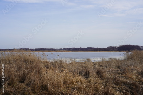 Sonnige winterliche Seelandschaft mit Schilf  Wasser  Eis und Wald im Naturschutzgebiet Rietzer See in Brandenburg  Strengsee 
