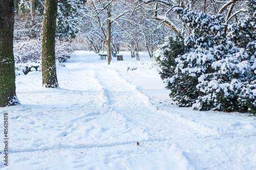 Snow trampled paths in the winter park © Svitlana Ozirna