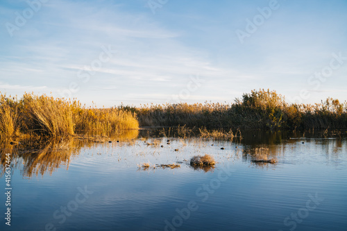 Large lake full of leaves, reeds and pampas in the natural park 