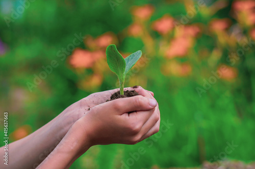 young person holding a green plant