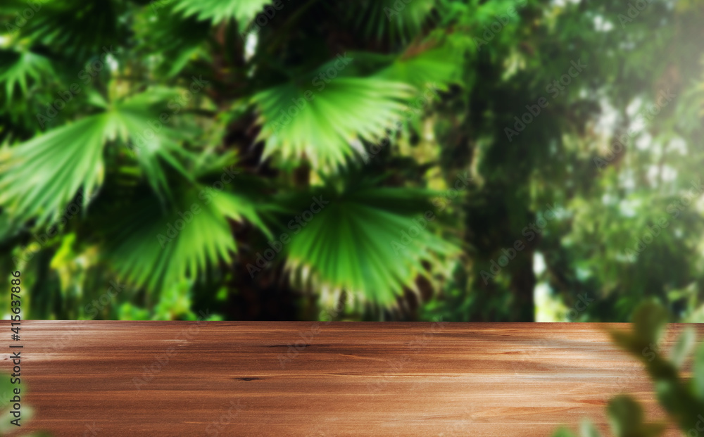 wood with green leaves in forest wood with green leaves in forest