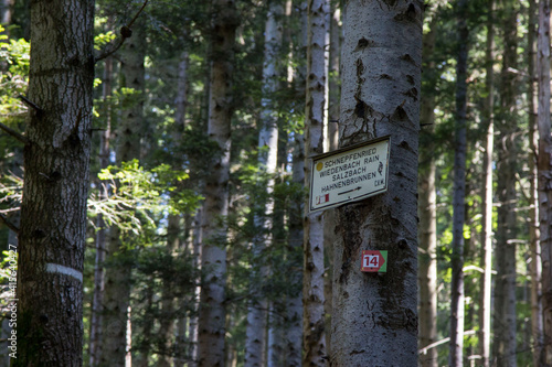 Sentier de randonnée balisé par le Club Vosgien photo