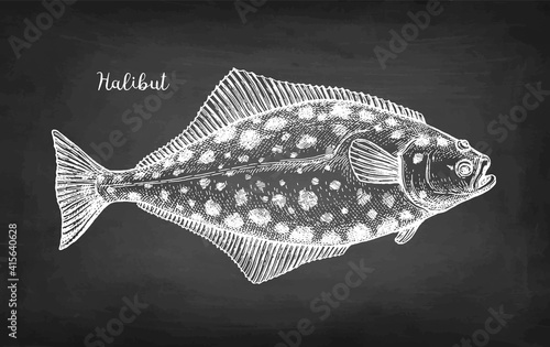 Chalk sketch of halibut.