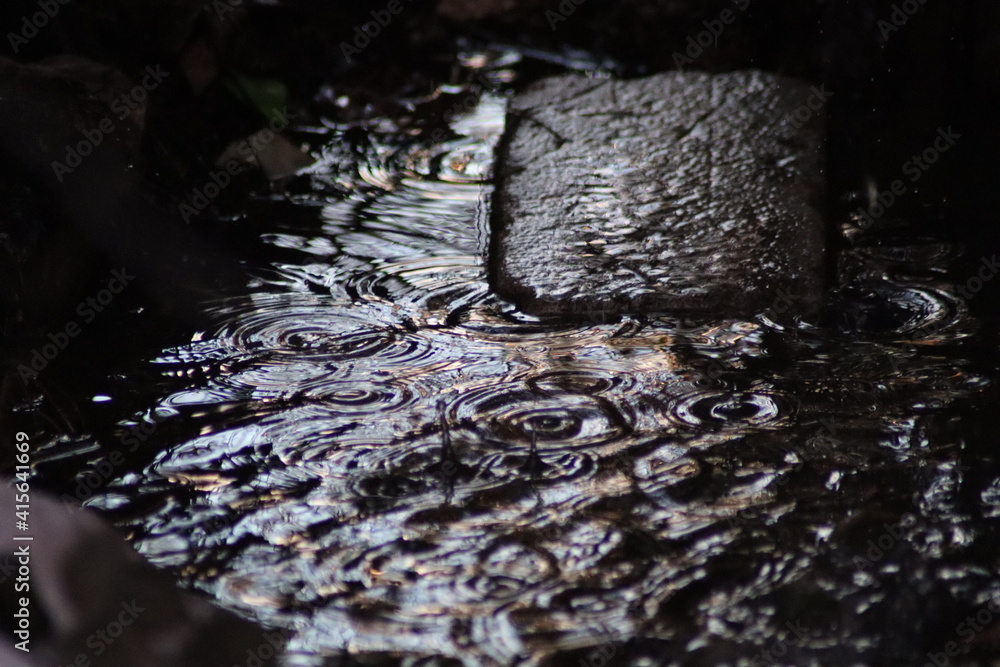 Naklejka premium water drops on the rocks