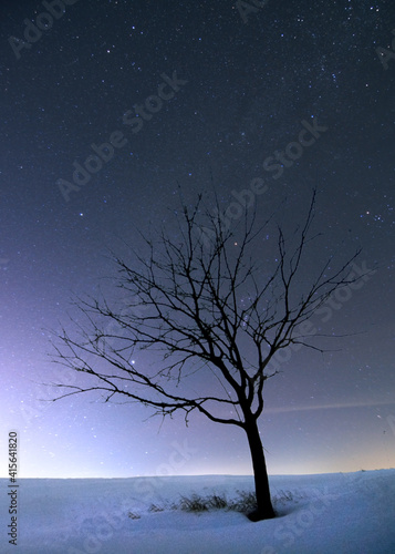 Night landscape with single tree  stars and snow  © EvhKorn